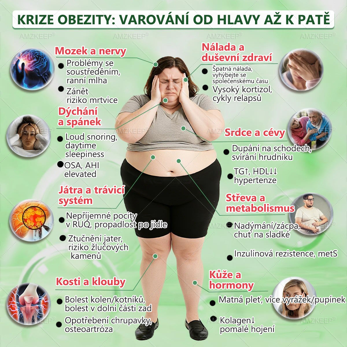 𝐋é𝐤𝐚ř𝐞𝐦 𝐟𝐨𝐫𝐦𝐮𝐥𝐨𝐯𝐚𝐧ý 𝐀𝐌𝐙𝐊𝐄𝐄𝐏® Green