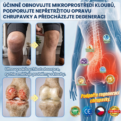 AMZKEEP® AMPK * Moringa * Berberin 10 v 1 –  Metabolická podpora,𝗖𝘂𝗸𝗿𝗼𝘃𝗸𝗮, 𝗦𝗽á𝗻𝗸𝗼𝘃é 𝗮𝗝 𝗣𝗿𝗼𝗯𝗹é𝗺𝘆 𝘀 𝗸ĺ𝗯𝗺𝗶 𝗮